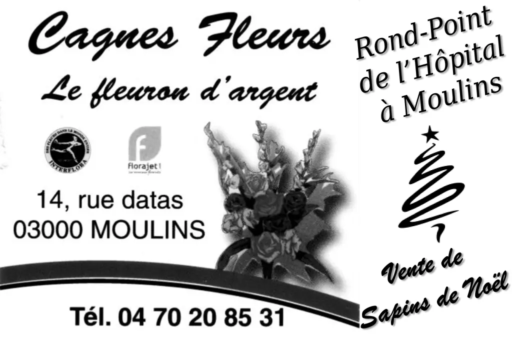 ICI-ANNONCES-03-Moulins -- Cagnes-Fleurs-Le-Fleuron-d-Argent -- Moulins